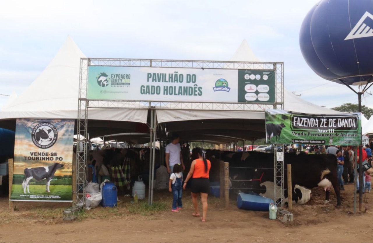 Programação atualizada ⚠️